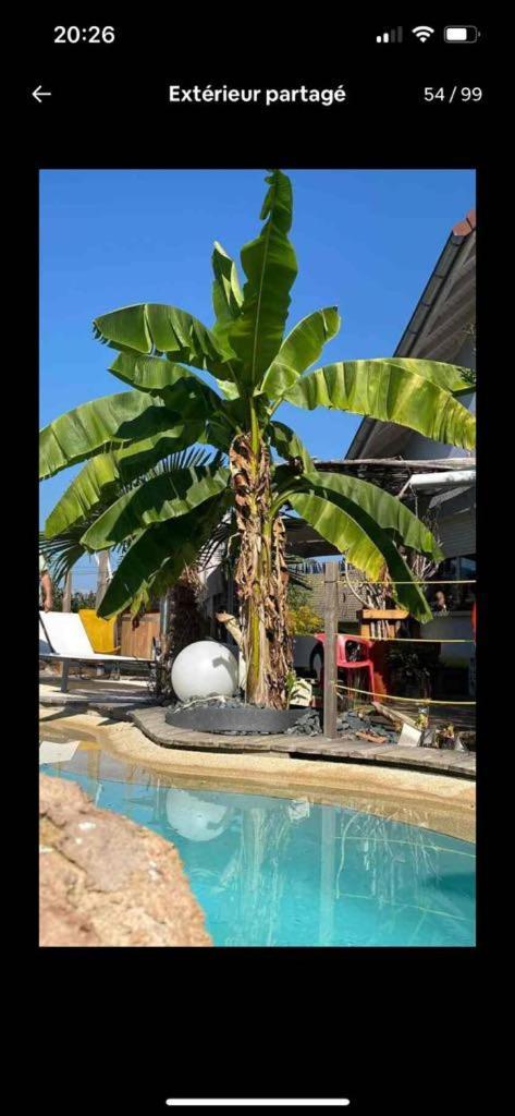 Mouxy A La Marc'Quize Chambres D'Hotes, Petit Dejeuner Compris, Avec Piscine A Debordement En Exterieur, Bain Nordique A 38 Degres En Prestation Supplement Sur Reservation Horaire Anticipee 1 Place De Parking Gratuite Sur Place المظهر الخارجي الصورة